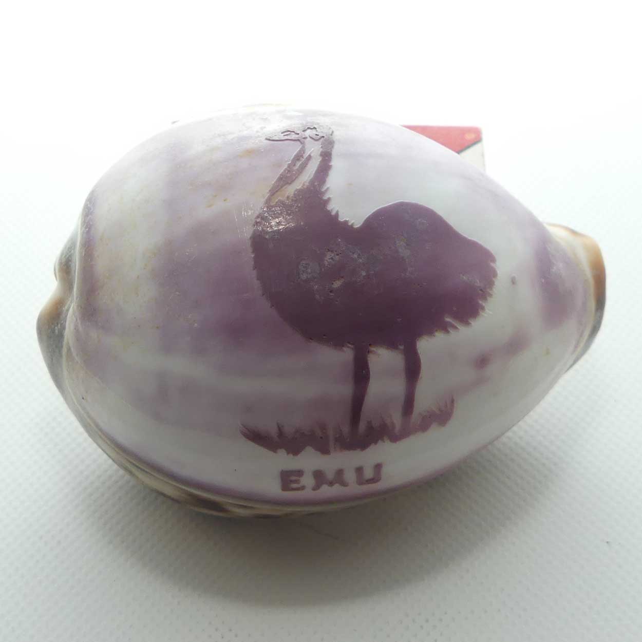 Pair of Australian motif carved Shells | Koala and Emu
