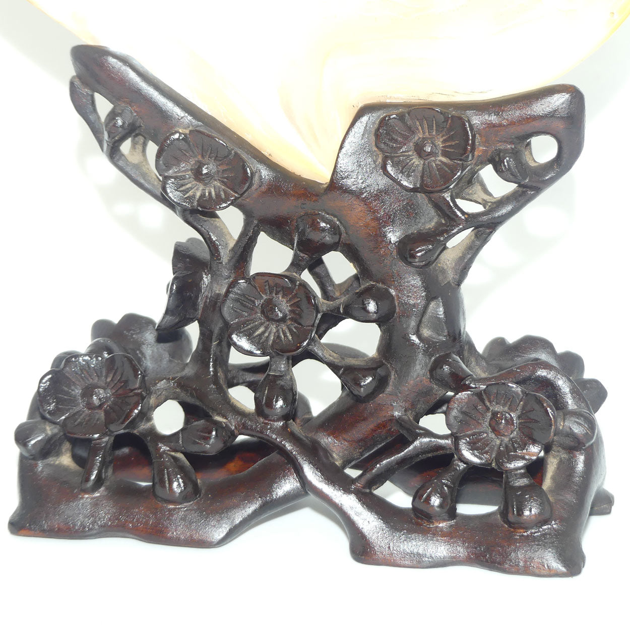 Pair of Carved Mother of Pearl Shells on Carved Rosewood Stands