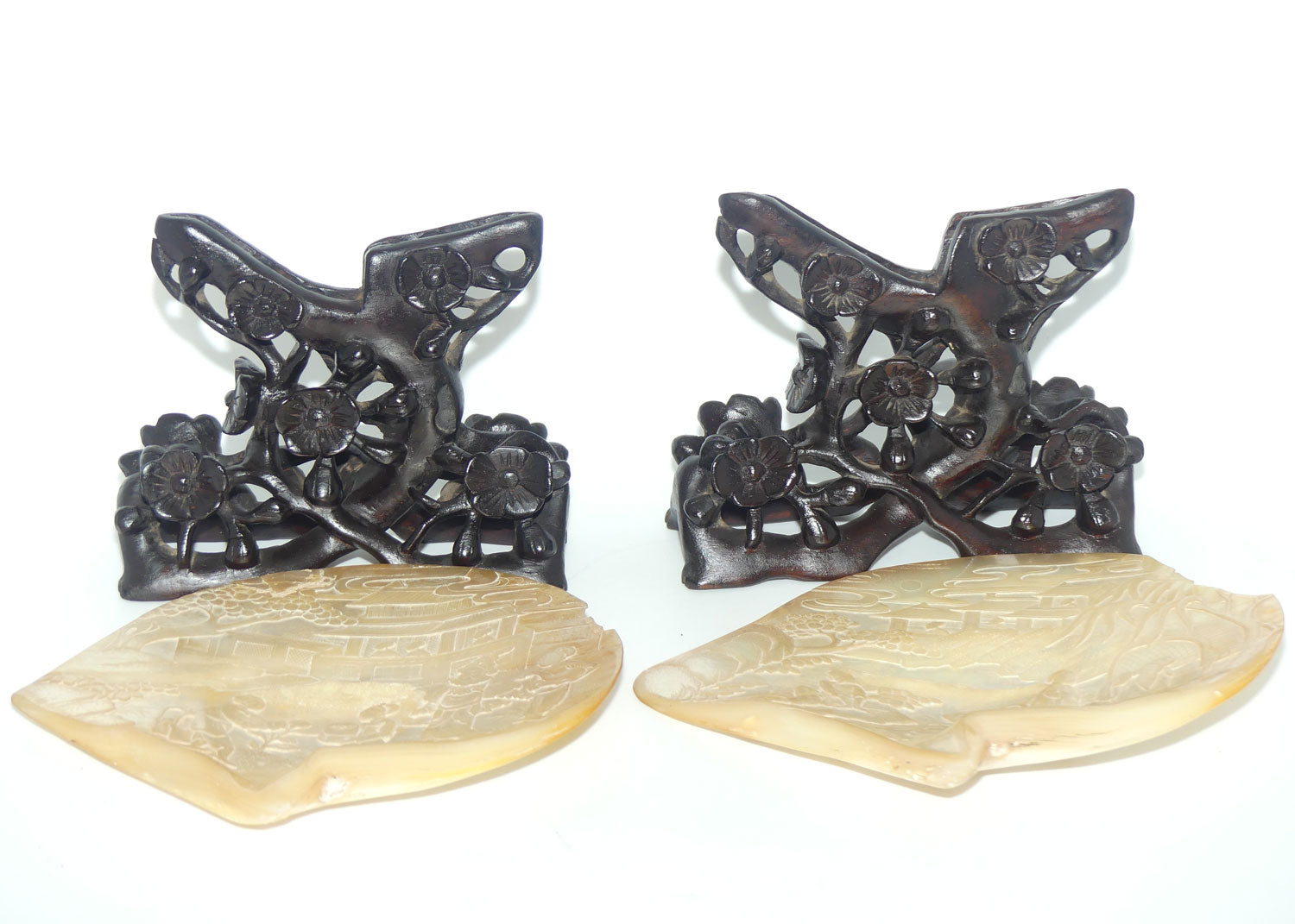 Pair of Carved Mother of Pearl Shells on Carved Rosewood Stands