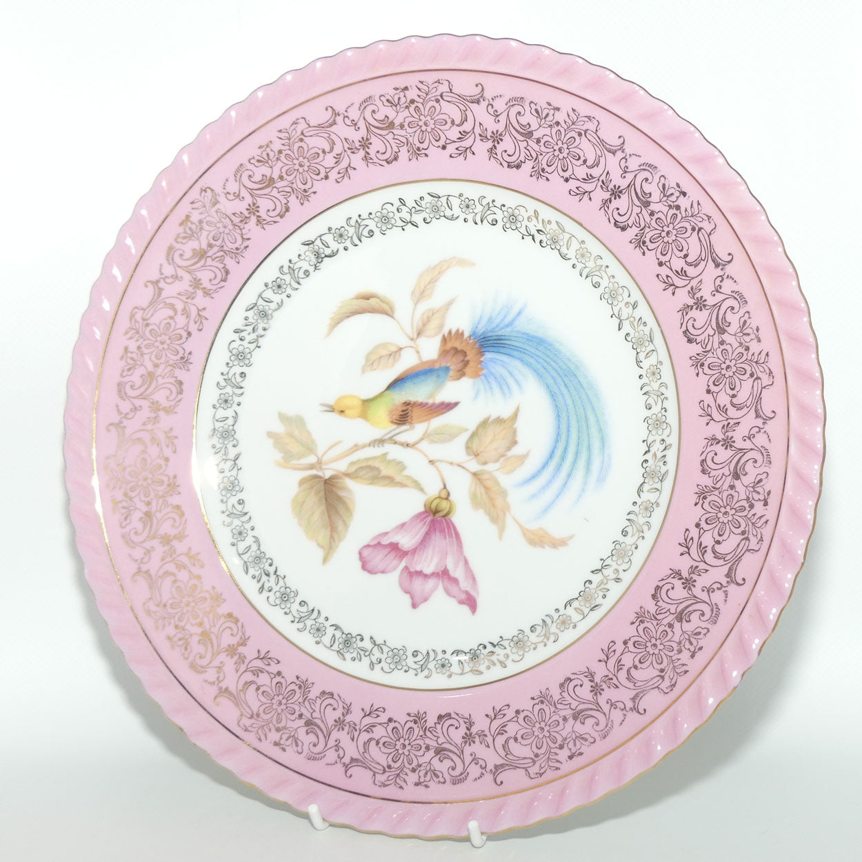 PM & M Porzellanmalerei Parbus Bavaria fine Bird of Paradise plate