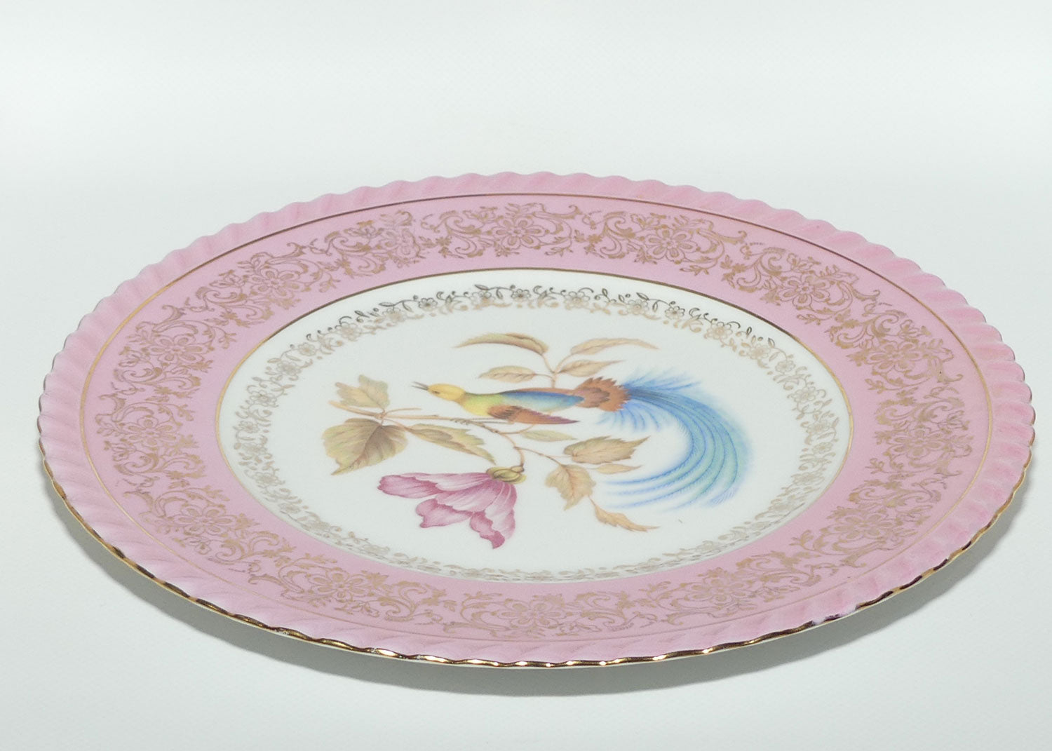 PM & M Porzellanmalerei Parbus Bavaria fine Bird of Paradise plate