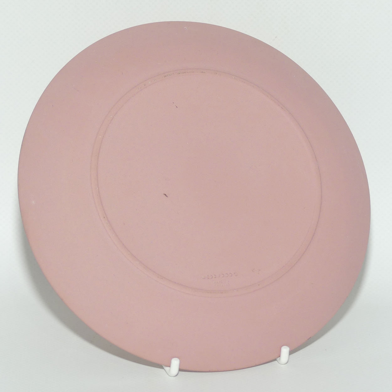Wedgwood Jasper | White on Pink | Insects and Foliage plate | 16.5cm