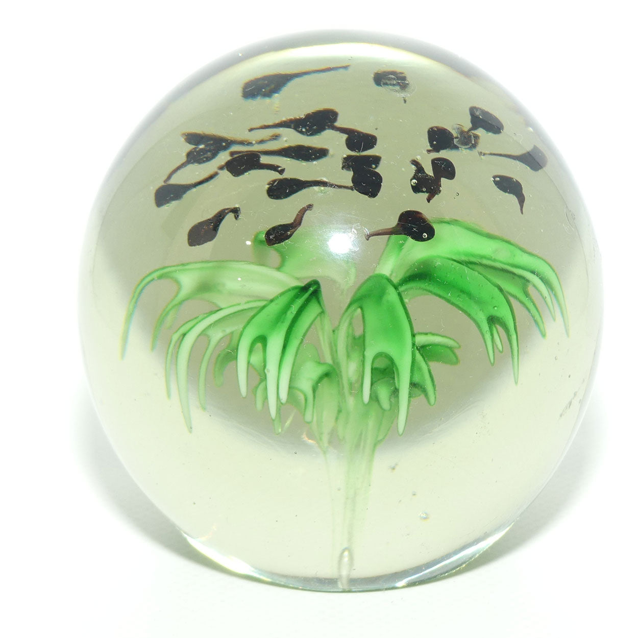 Large desktop paperweight | Tadpoles and Plant