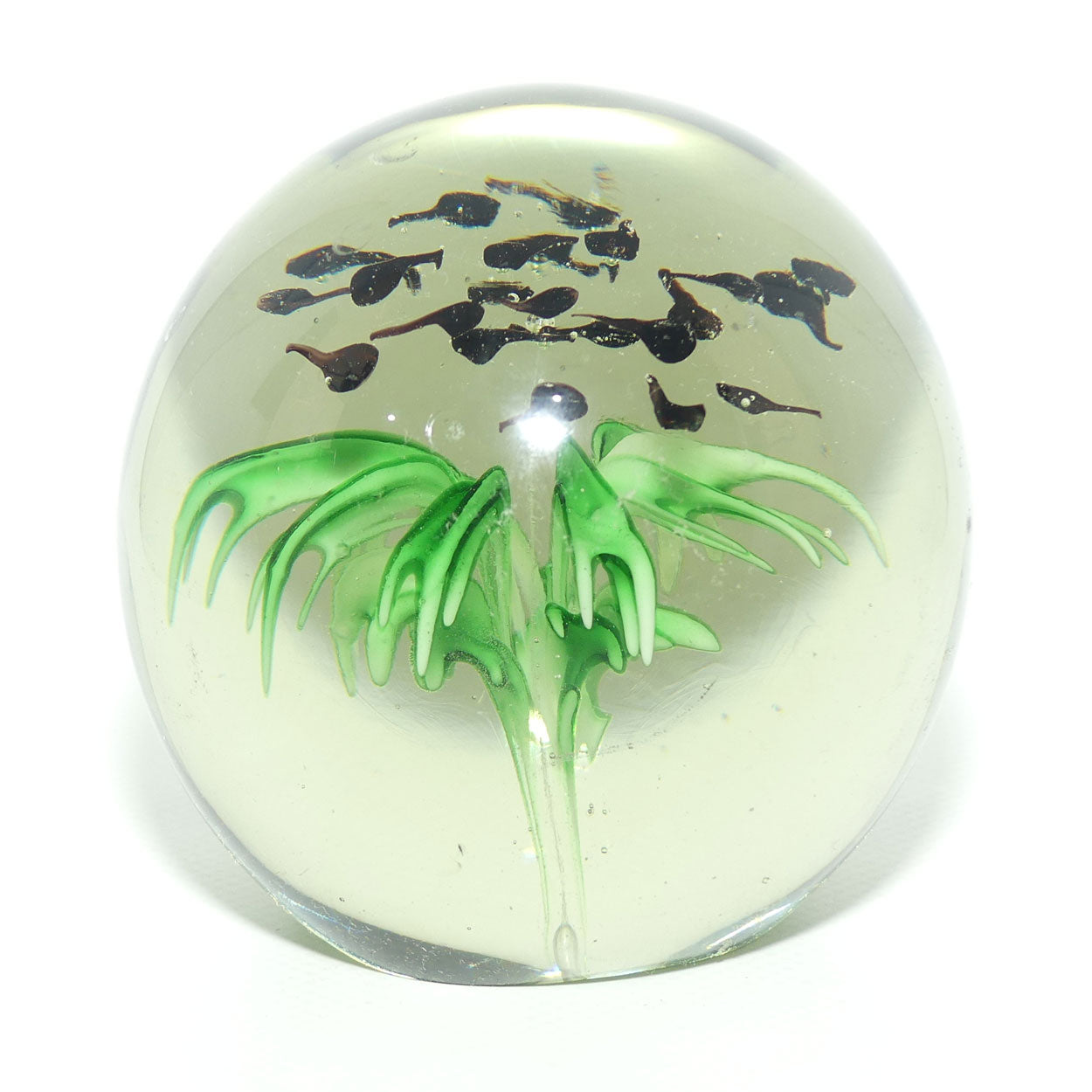 Large desktop paperweight | Tadpoles and Plant