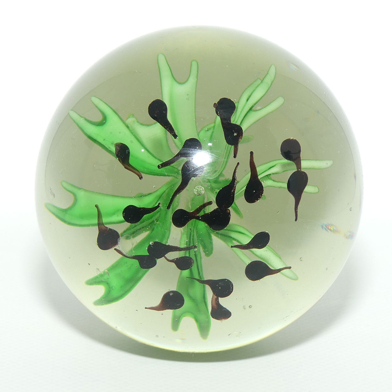 Large desktop paperweight | Tadpoles and Plant
