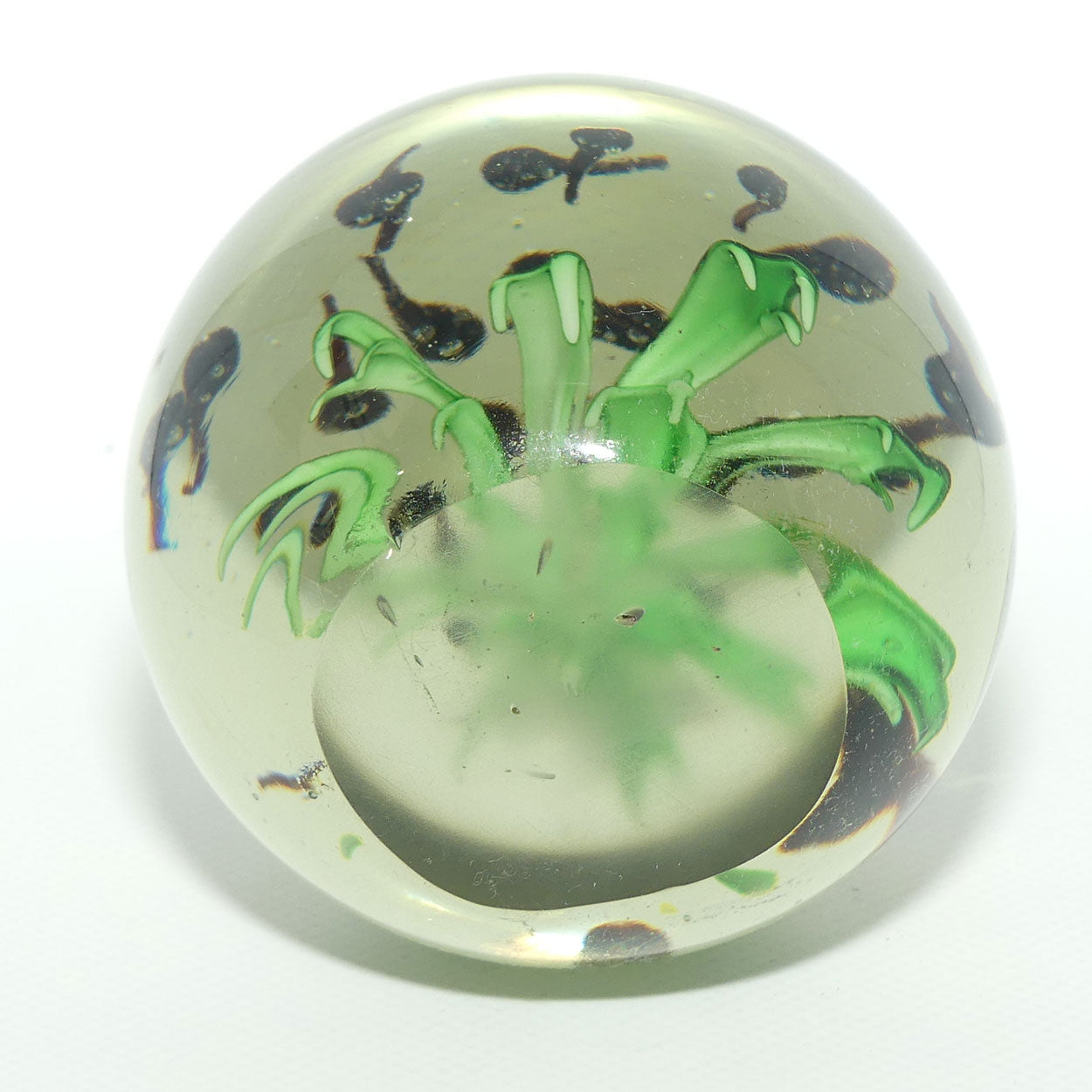 Large desktop paperweight | Tadpoles and Plant