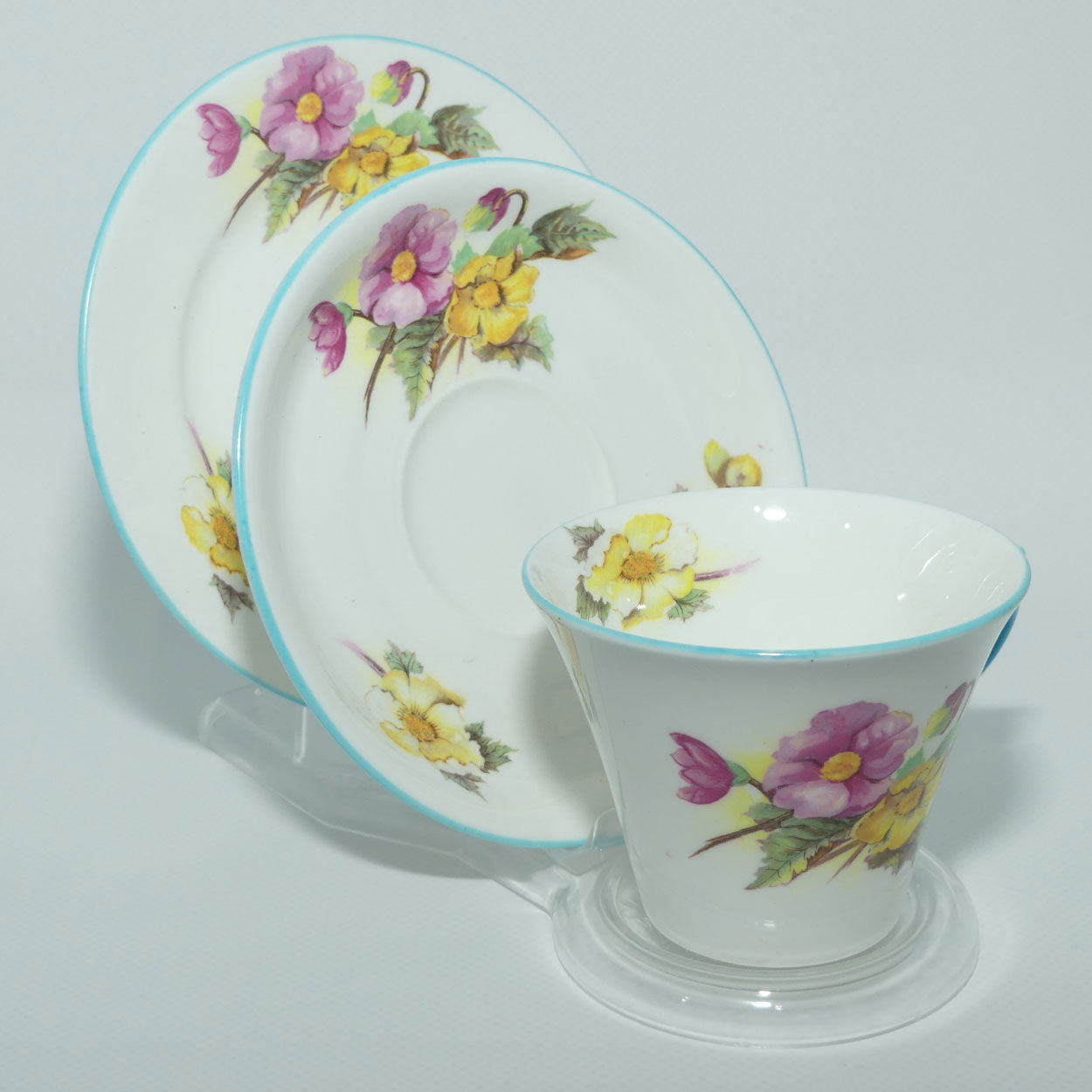 Shelley New Regent shape Begonia trio | 13427