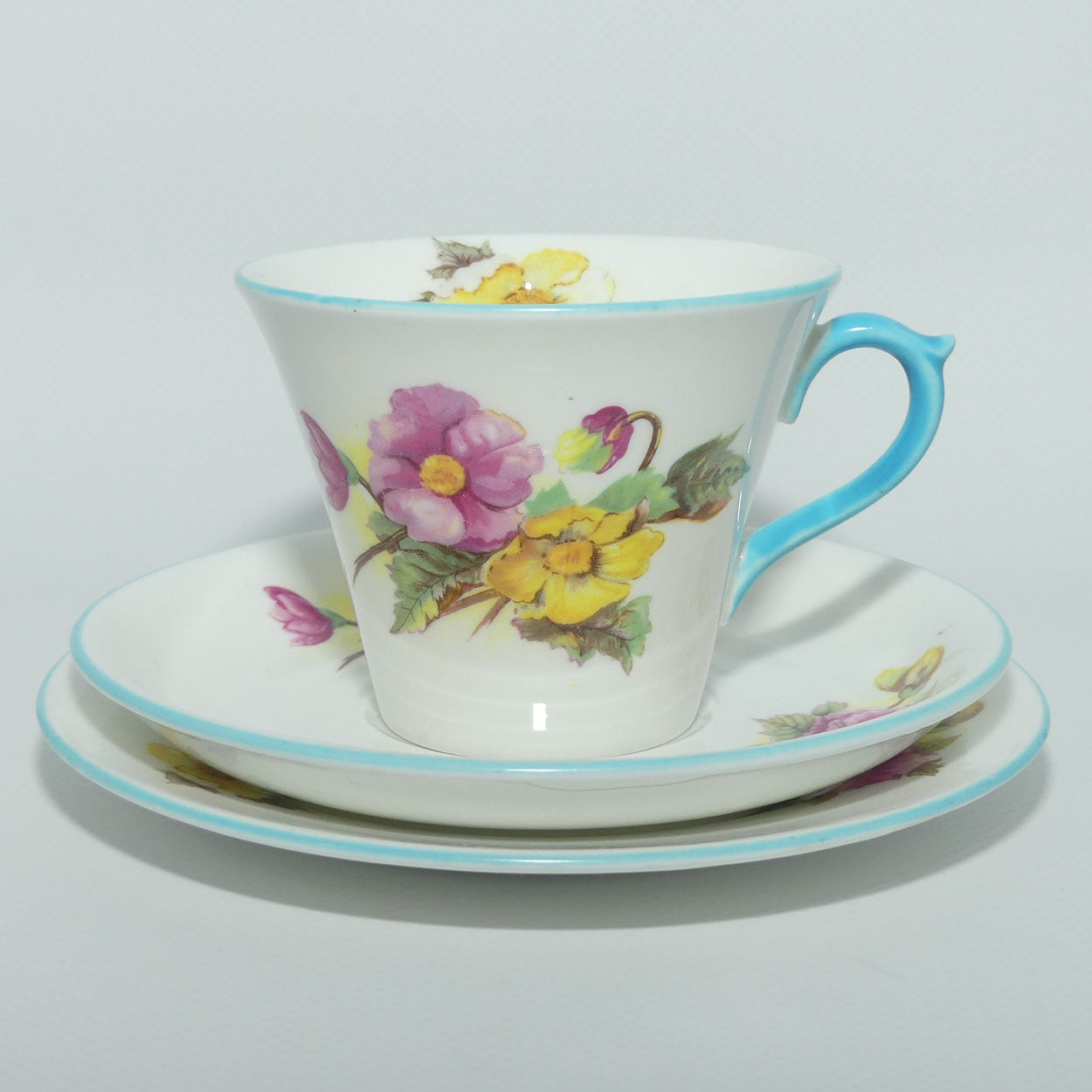 Shelley New Regent shape Begonia trio | 13427