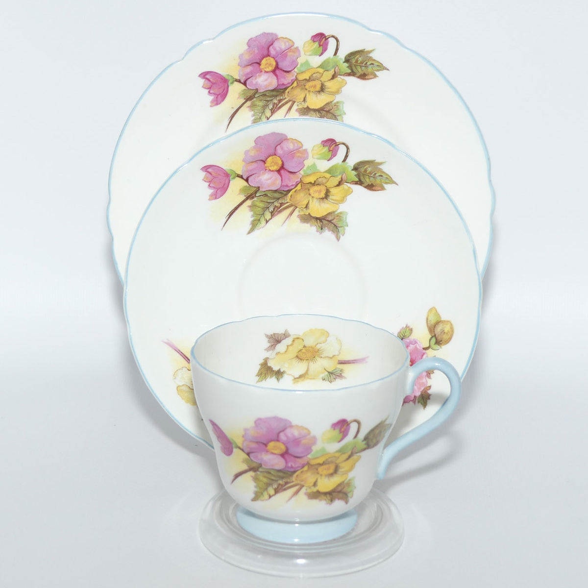 Shelley Richmond Shape Begonia pattern trio