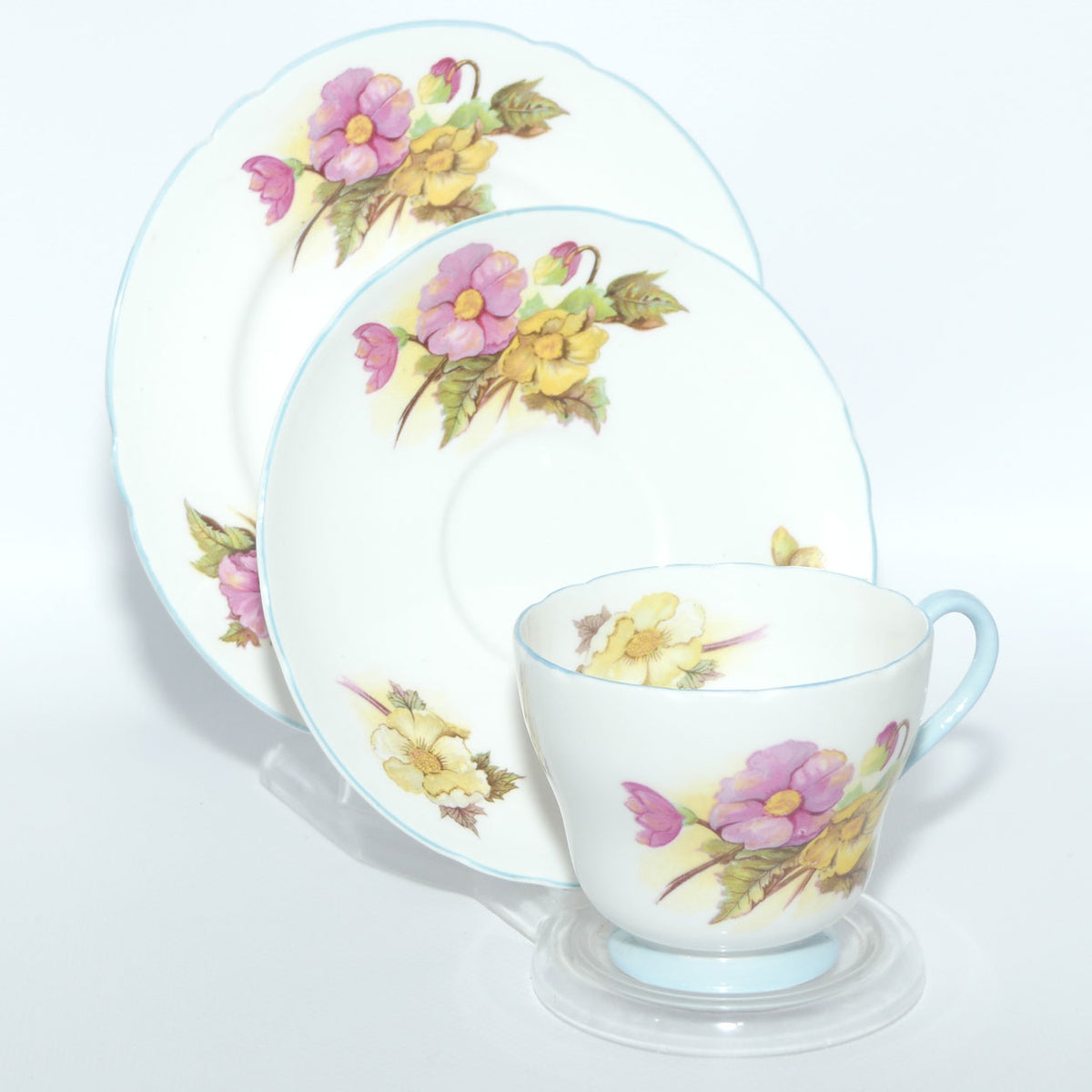 Shelley Richmond Shape Begonia pattern trio