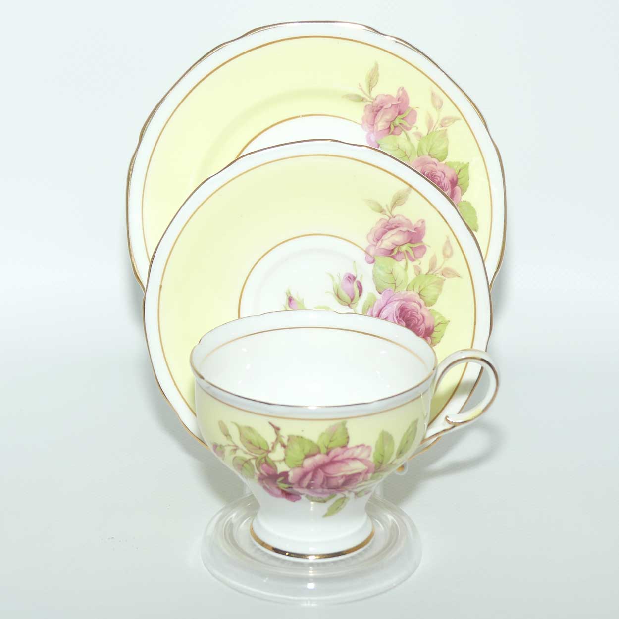 Paragon Bone China fine tea trio | Pink Roses and Yellow Ground