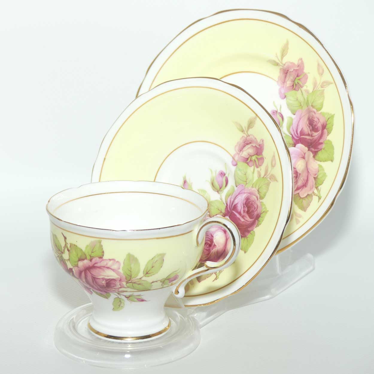 Paragon Bone China fine tea trio | Pink Roses and Yellow Ground