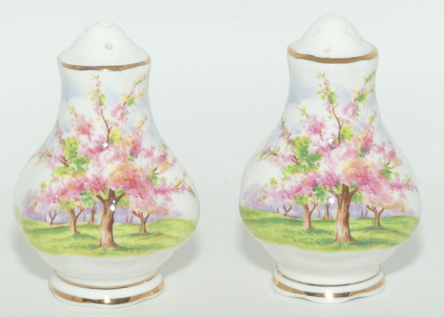 Royal Albert England Blossom Time salt and pepper