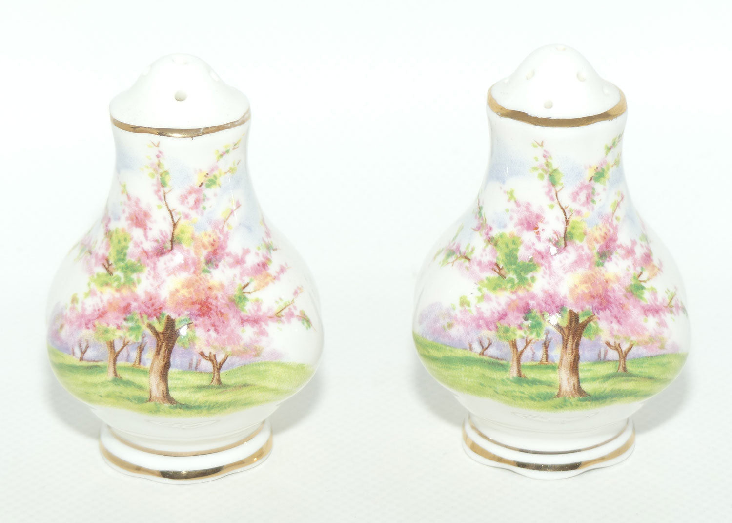 Royal Albert England Blossom Time salt and pepper
