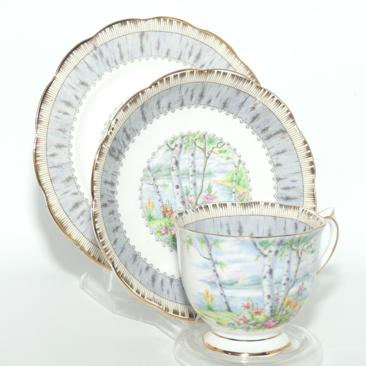 Royal Albert Bone China Silver Birch trio