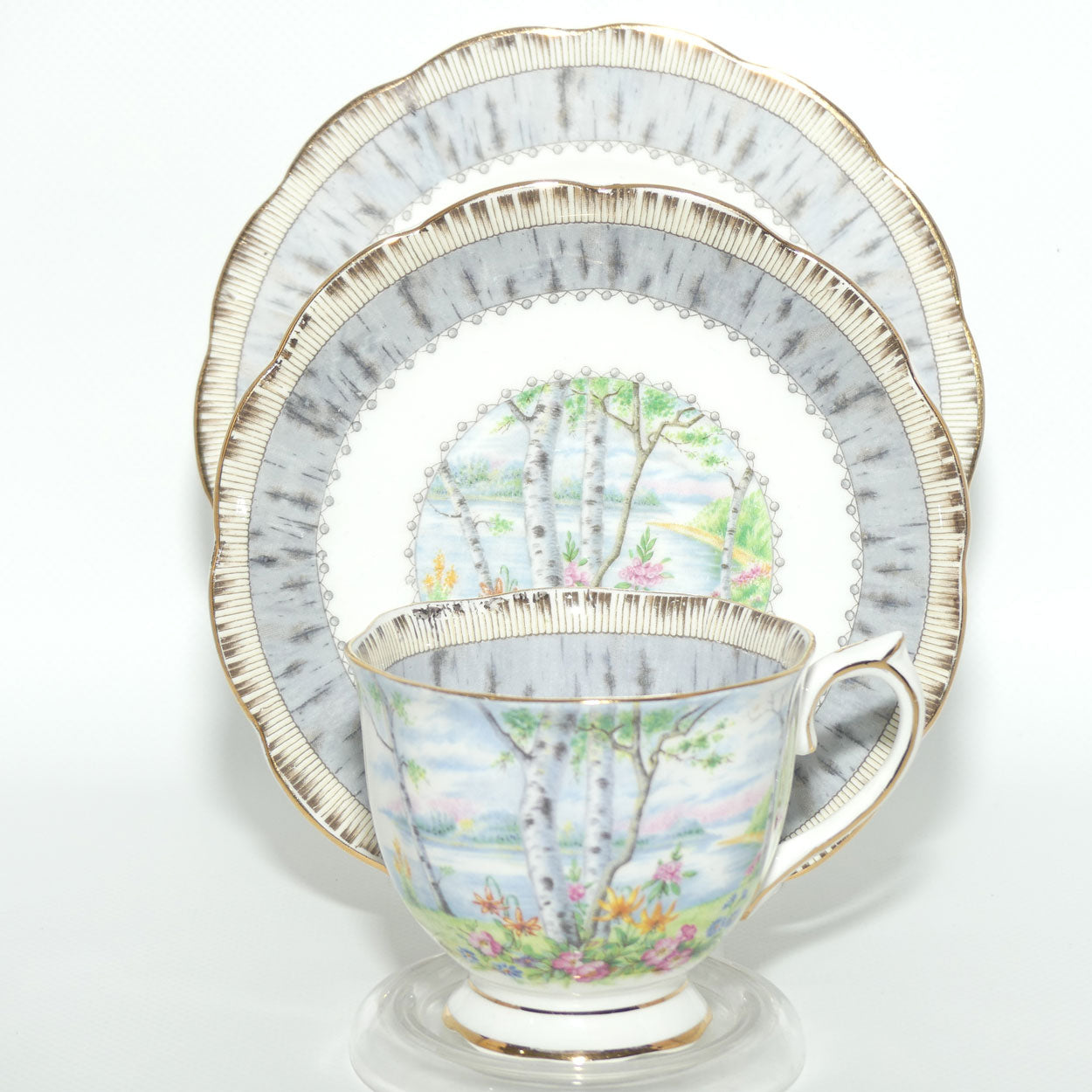 Royal Albert Bone China Silver Birch trio