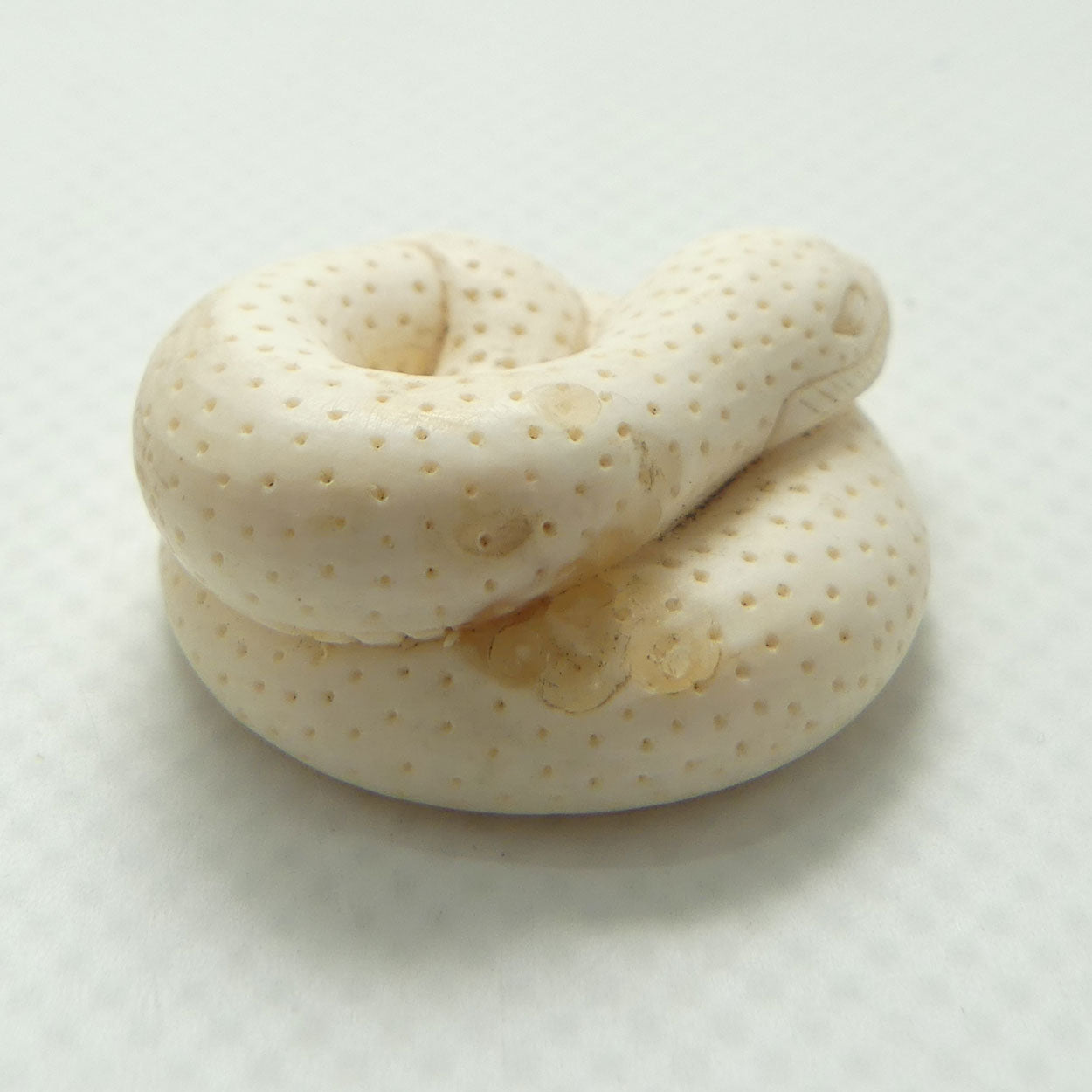 Japanese Carved Ivory miniature Okimono | Snake Curled