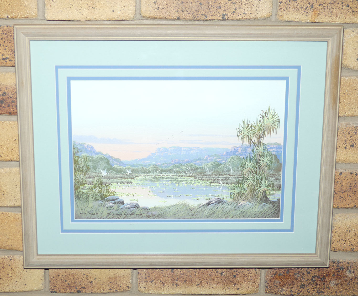 Original Watercolour and Goauche | Framed | Memory that Lingers Kakadu | Peter Snelgar 91