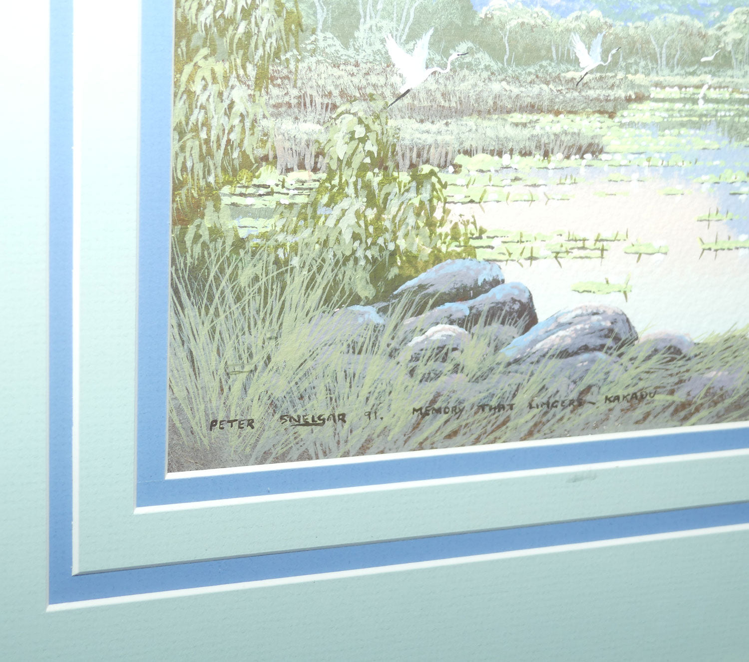 Original Watercolour and Goauche | Framed | Memory that Lingers Kakadu | Peter Snelgar 91