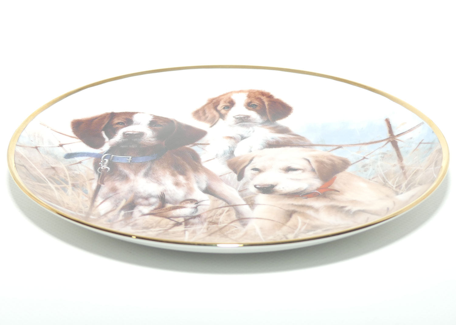 Franklin Mint | Sporting Trio plate by James Killen