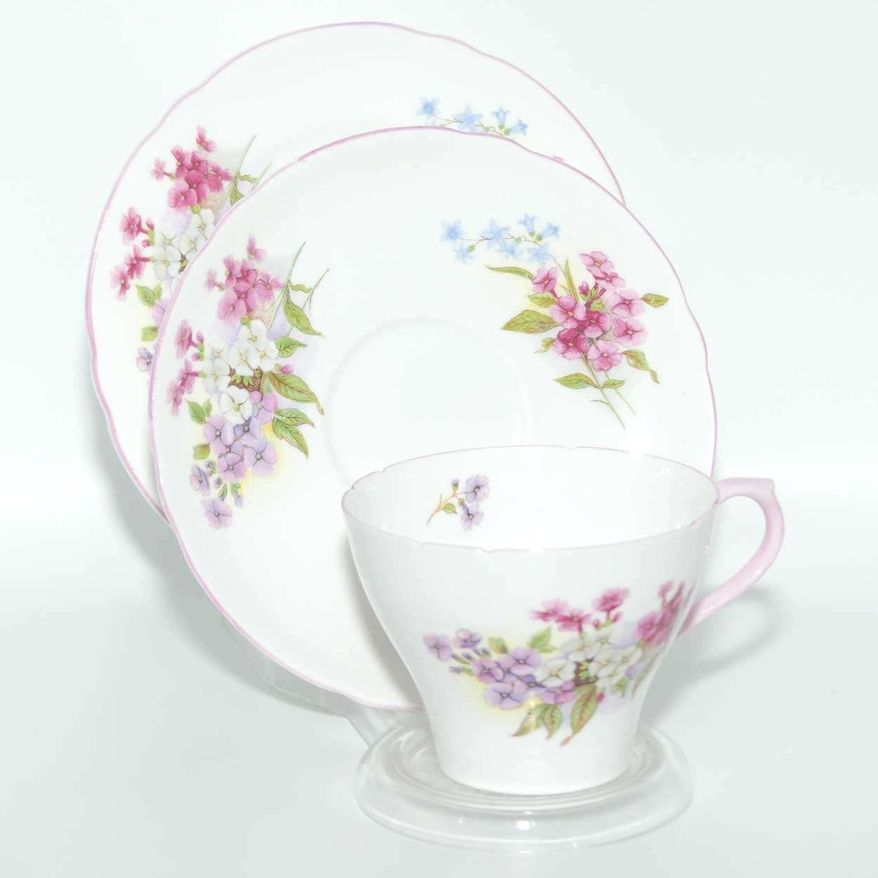 Shelley New Cambridge shape Stocks trio | 13428