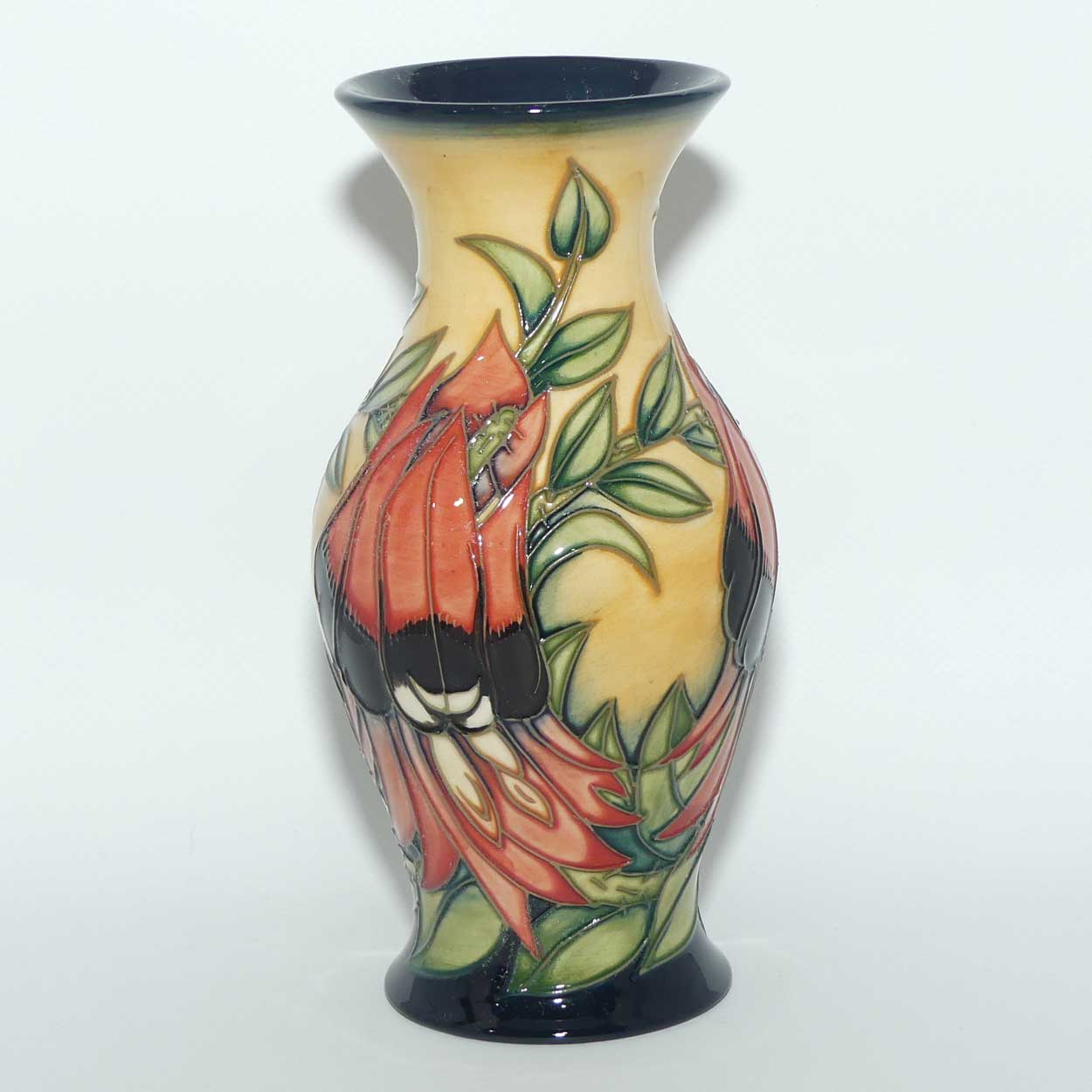 Moorcroft Sturt Desert Pea 226/7 vase | LE 184/500 | no box