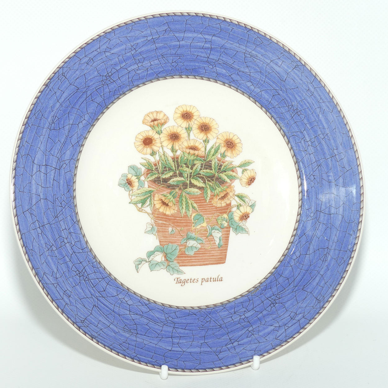 Wedgwood Queen's Ware | Sarah's Garden plate | Blue trim | Tagetes patula | 20cm