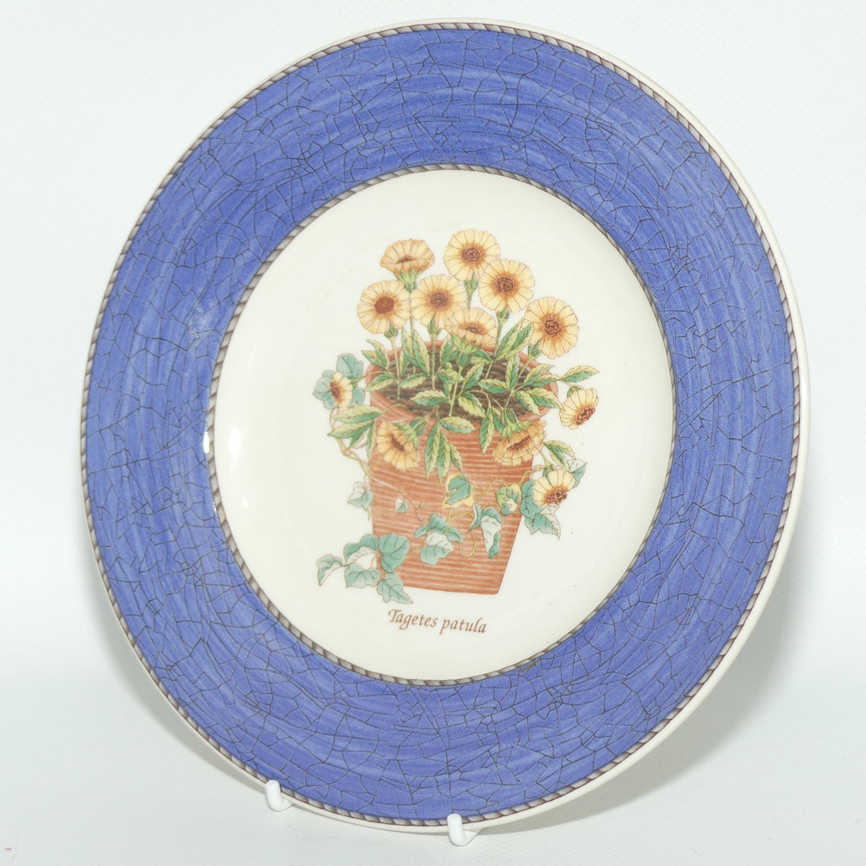 Wedgwood Queen's Ware | Sarah's Garden plate | Blue trim | Tagetes patula | 20cm