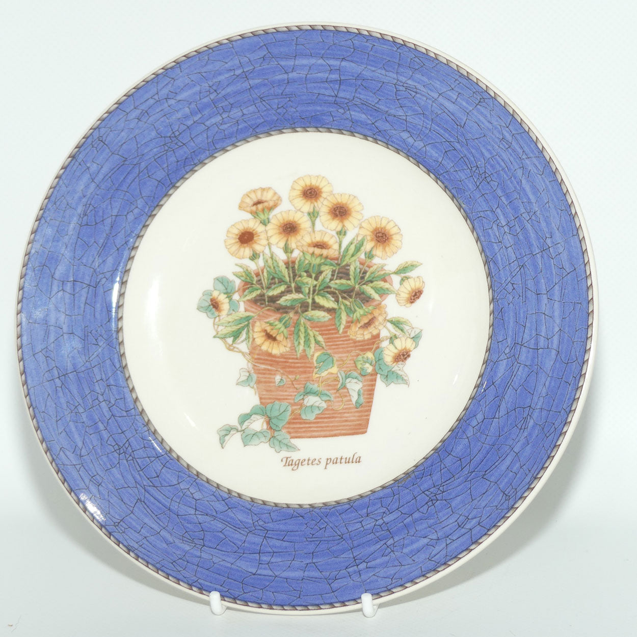 Wedgwood Queen's Ware | Sarah's Garden plate | Blue trim | Tagetes patula | 20cm