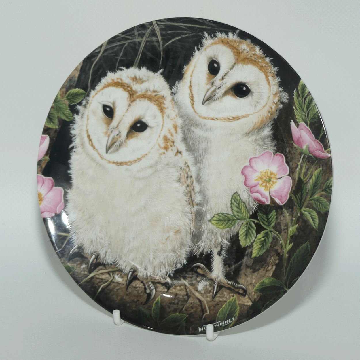 Crown Staffordshire plate | The Baby Owls by Dick Twinney