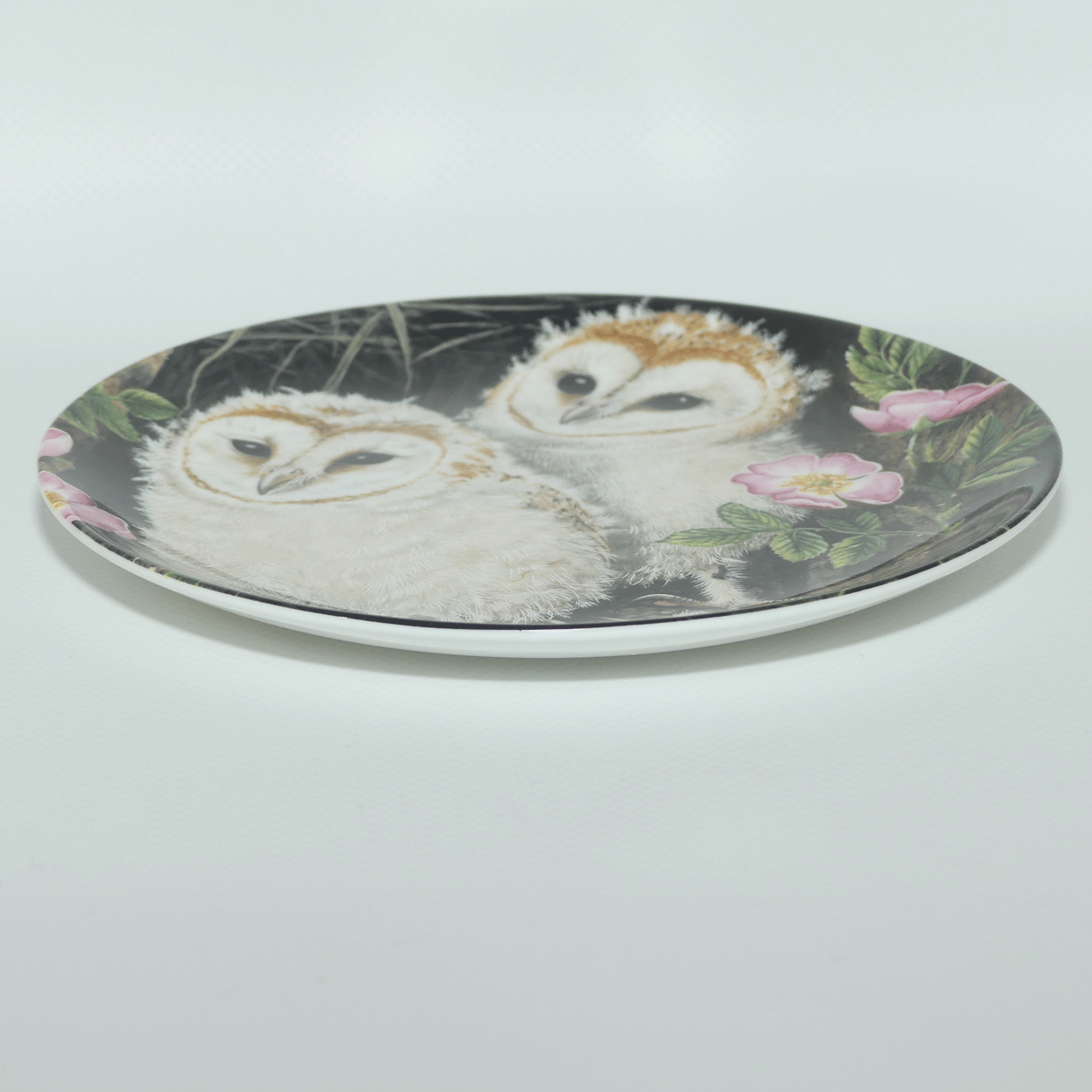 Crown Staffordshire plate | The Baby Owls by Dick Twinney