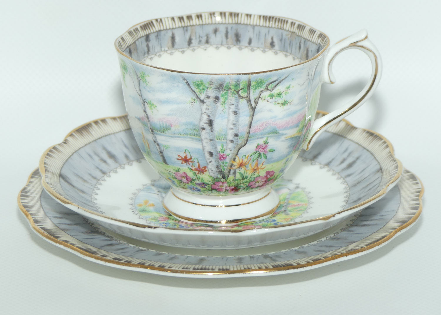 Royal Albert Bone China Silver Birch trio | #2