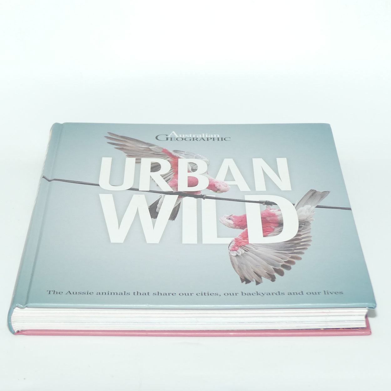 Reference Book | Australian Geographic | Urban Wild The Aussie animals that share our cities, our backyards and our lives