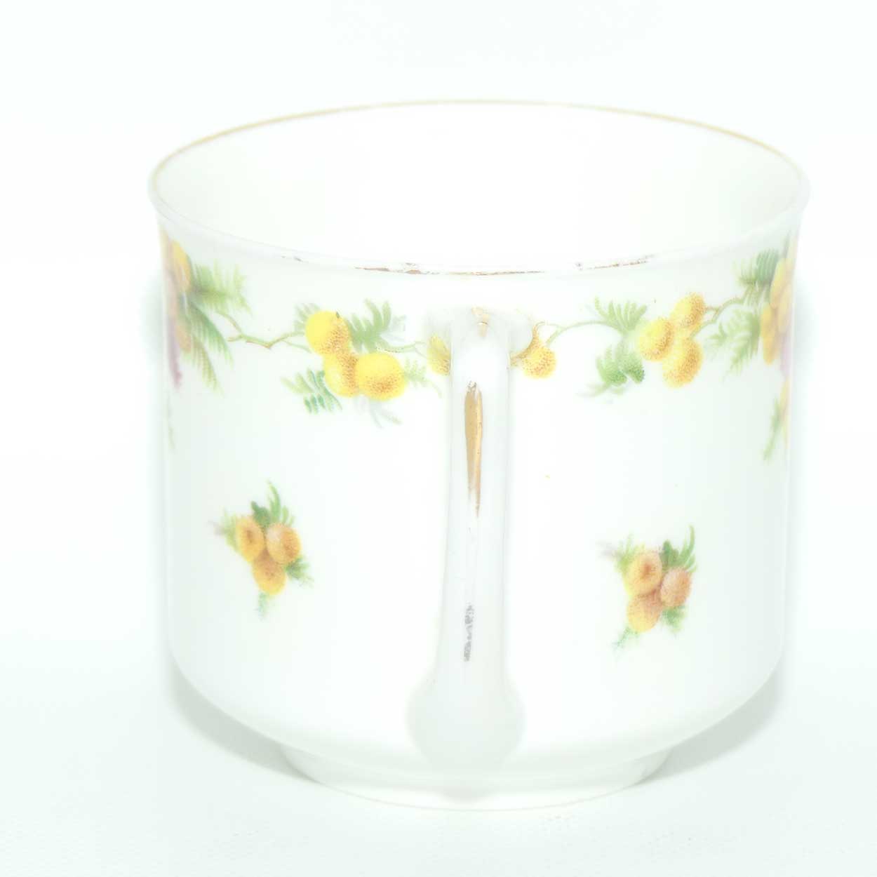 Royal Doulton Wattle trio E8423