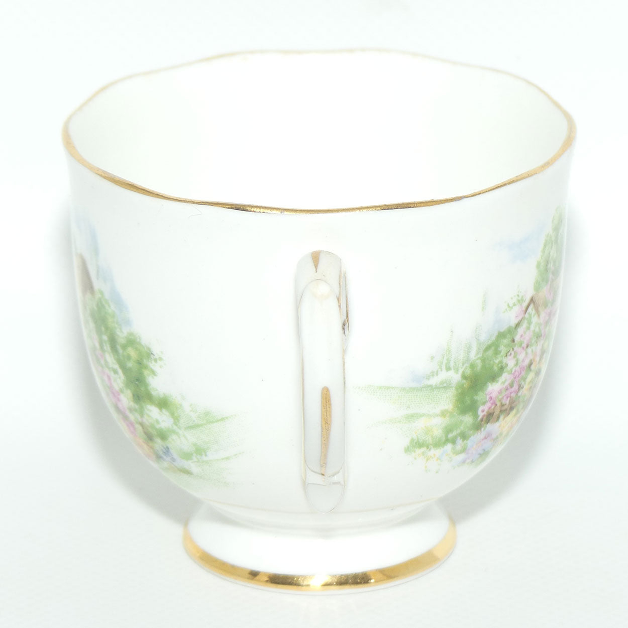 Roslyn Bone China Wayside tea trio