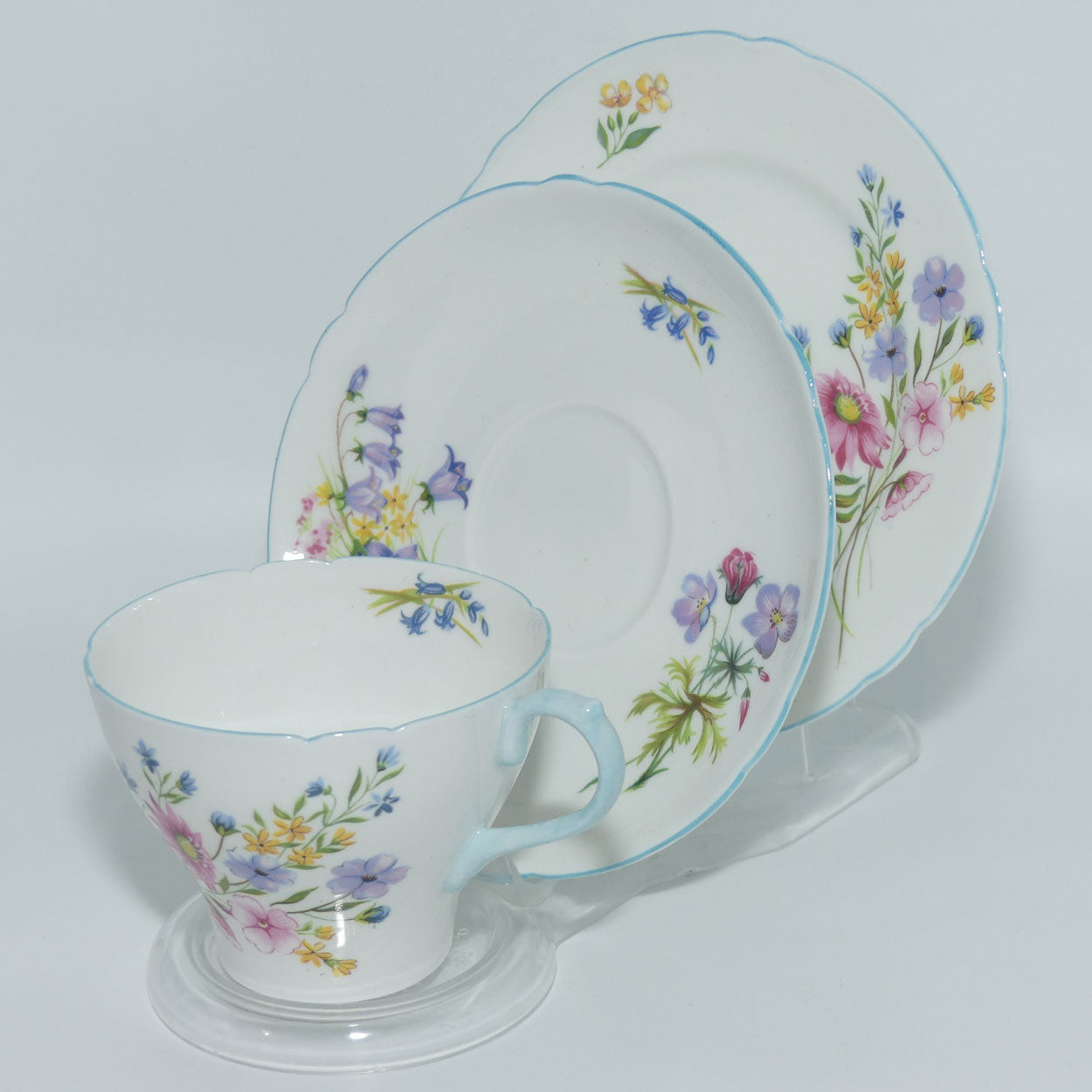 Shelley New Cambridge Wildflowers trio | 13668