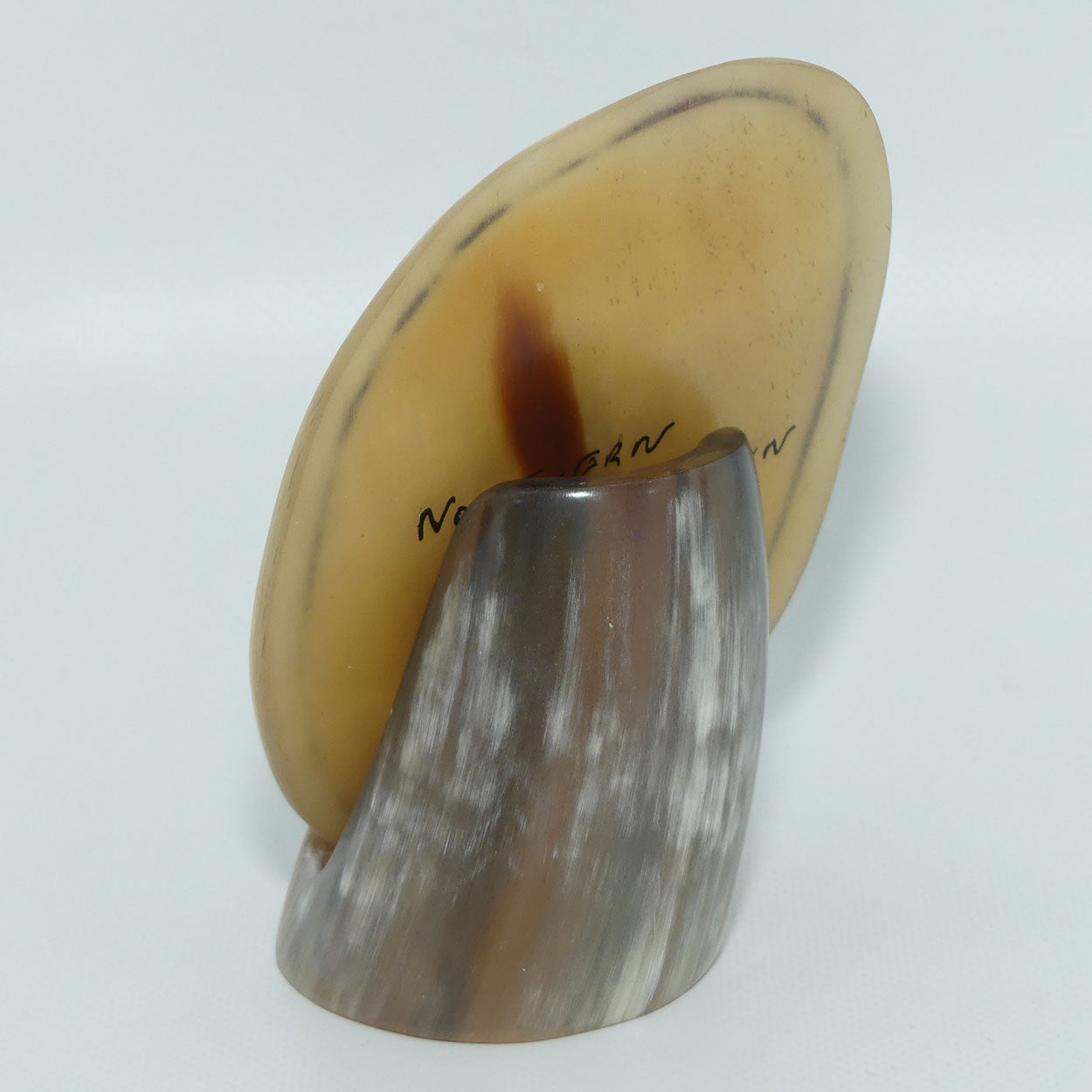 Enamelled Scrimshaw on Horn | Northern Yellow Robin