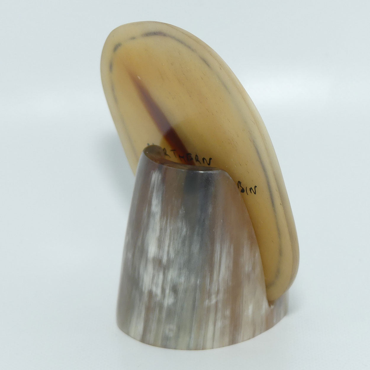 Enamelled Scrimshaw on Horn | Northern Yellow Robin