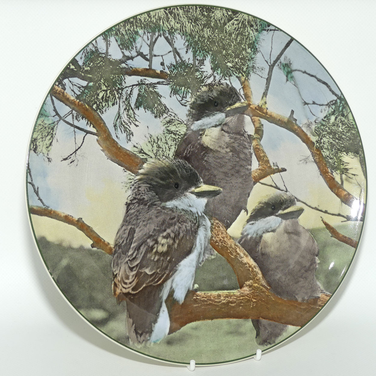 Royal Doulton Australian Views plate #7 | Young Kookaburras D6426