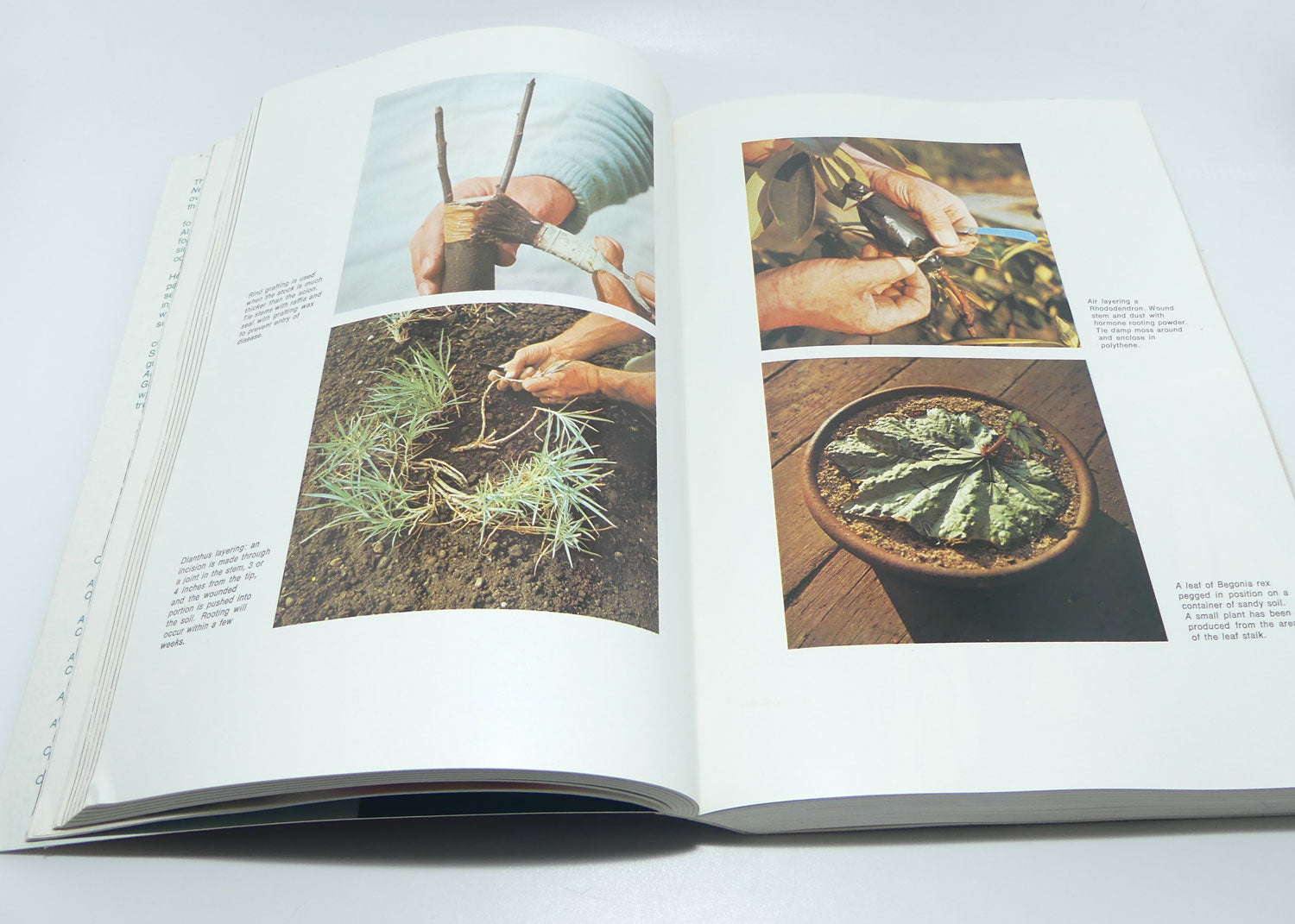 Reference Book | Australia and New Zealand Complete Book of Gardening | 2nd Ed