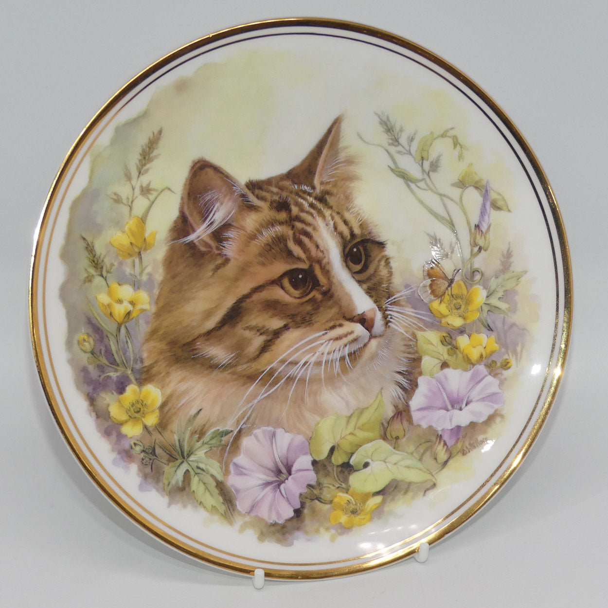 royal-vale-bone-china-cat-plate-signed-d-wallace