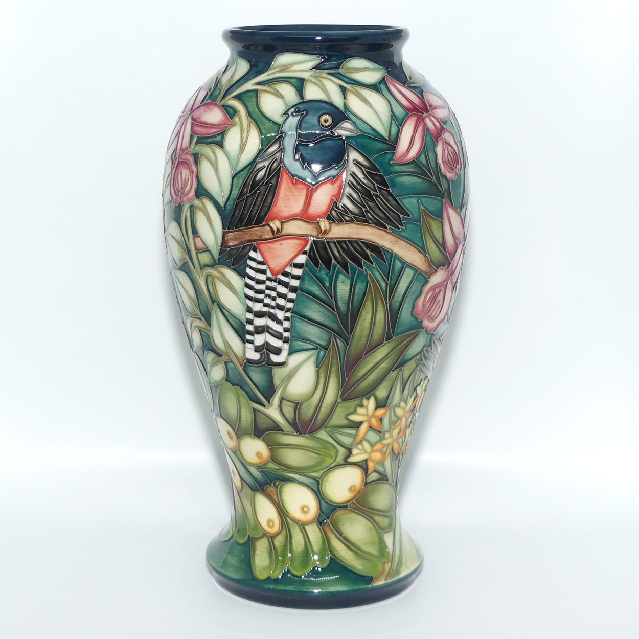 Moorcroft Pottery | Chapada Toucan 46/10 vase | Sian Leeper