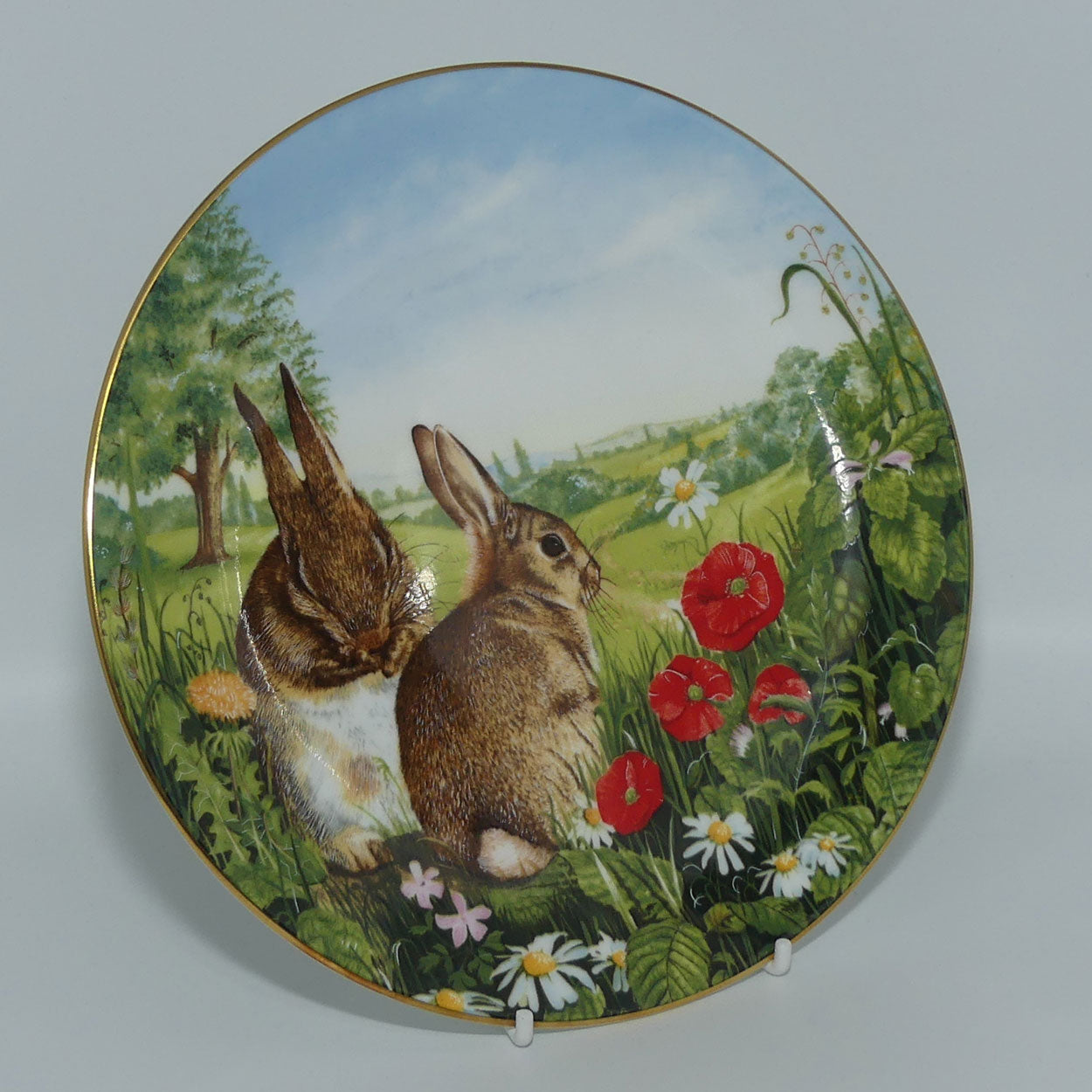 Royal Doulton Country Wildlife collection plate | Country Run