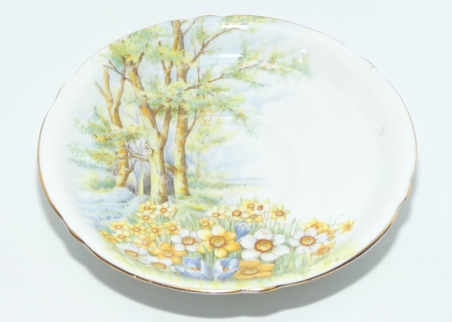 shelley-cambridge-shape-daffodil-time-coffee-duo