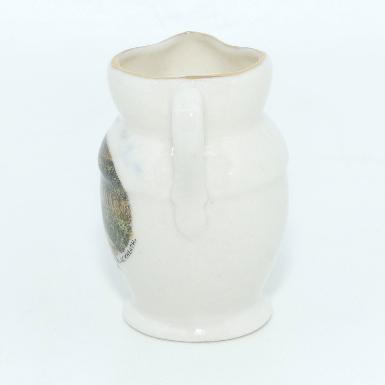 australiana-souvenir-jug-steps-at-govetts-leap-blackheath-blue-mountains-nsw