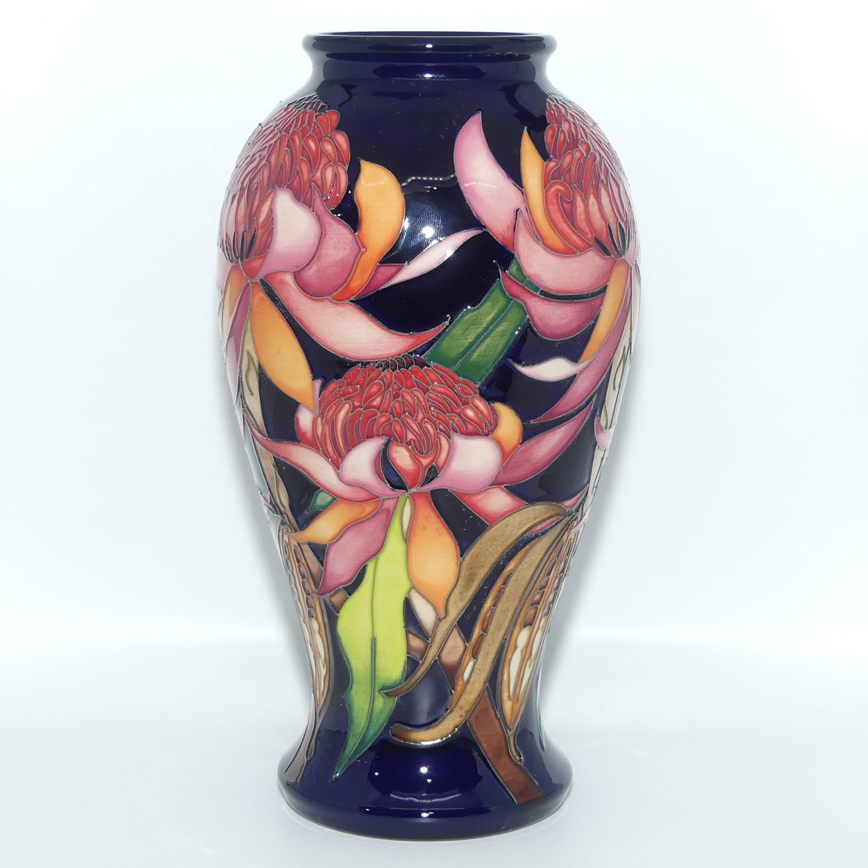 Moorcroft Pottery | New World Waratah 46/10 vase | TRIAL