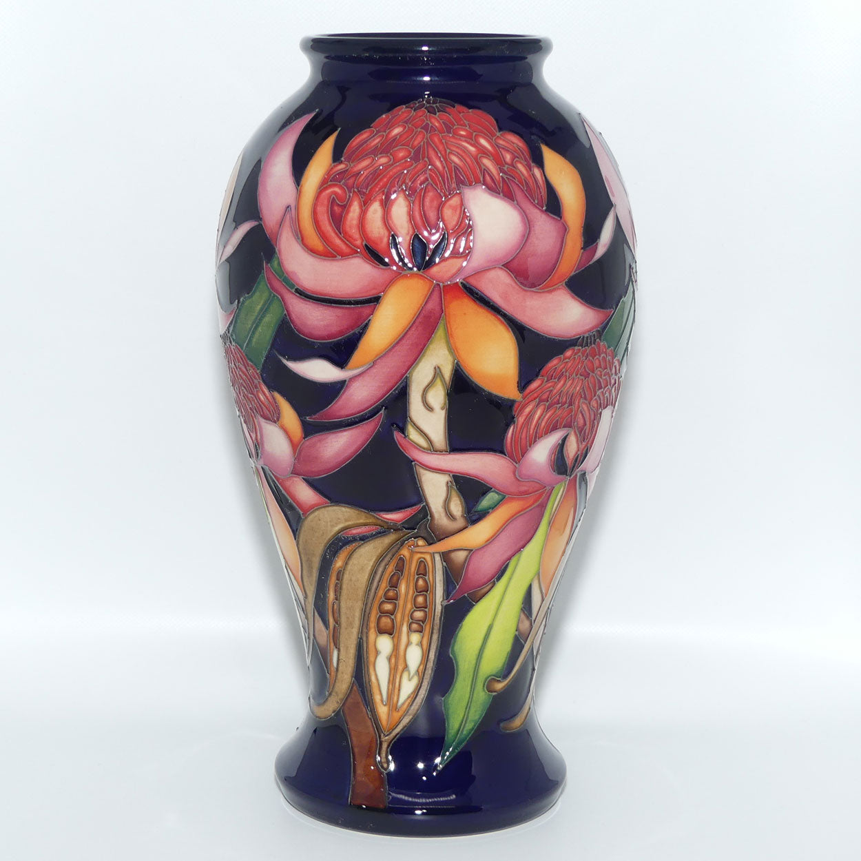 Moorcroft Pottery | New World Waratah 46/10 vase | TRIAL