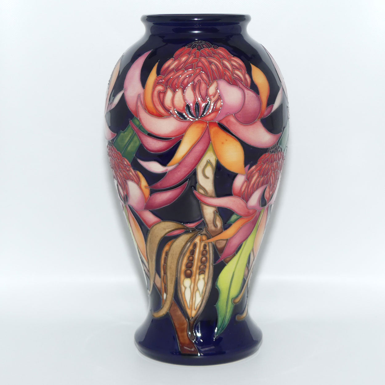 Moorcroft Pottery | New World Waratah 46/10 vase | TRIAL
