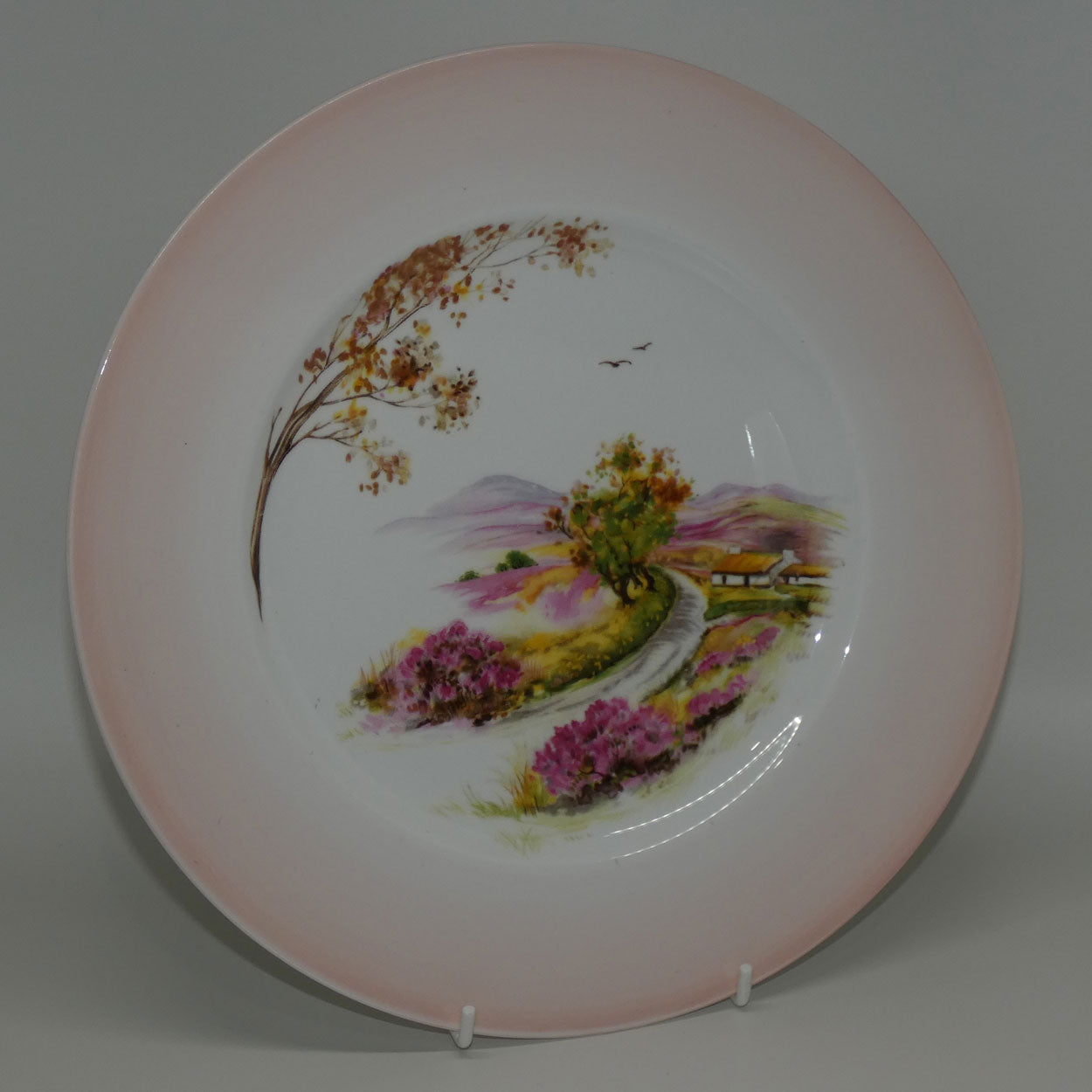 shelley-england-old-ireland-plate-pink-border-round