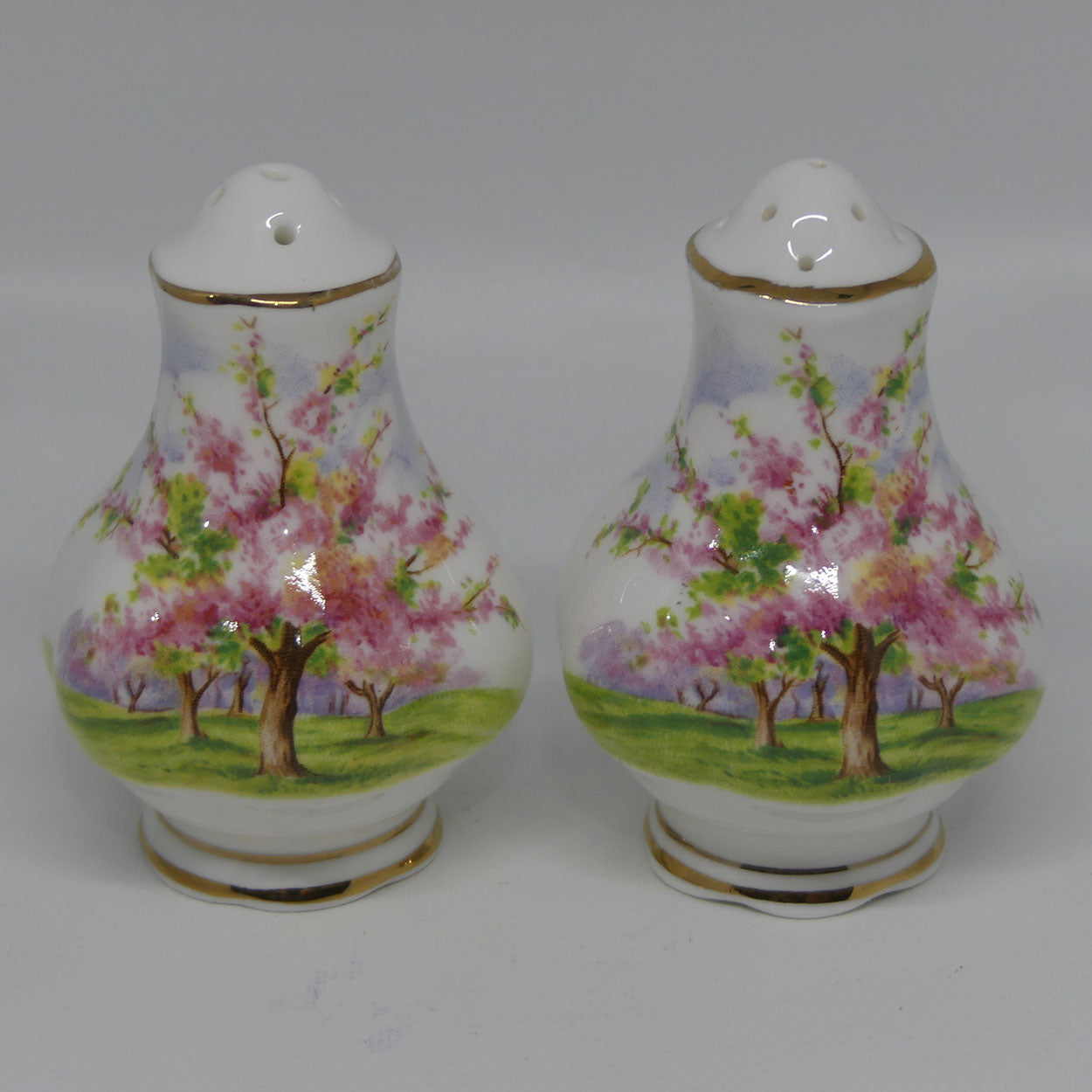 royal-albert-england-blossom-time-salt-and-pepper